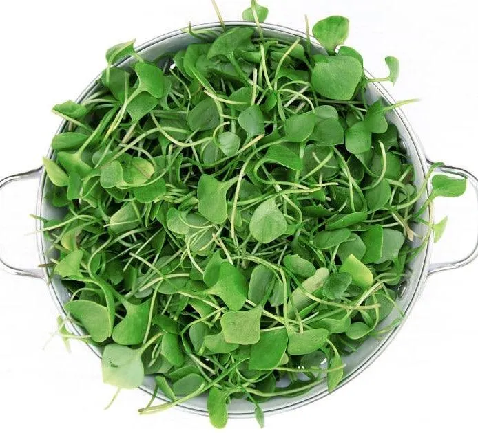 bowl full of fresh watercress