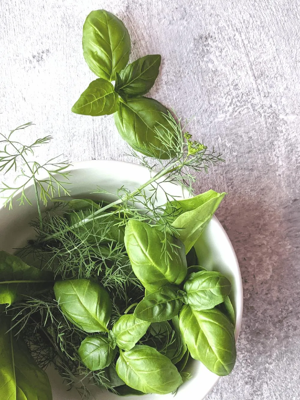 Olives, cucumbers, artichoke hearts and arugula make this GERD friendly mediterranean salad