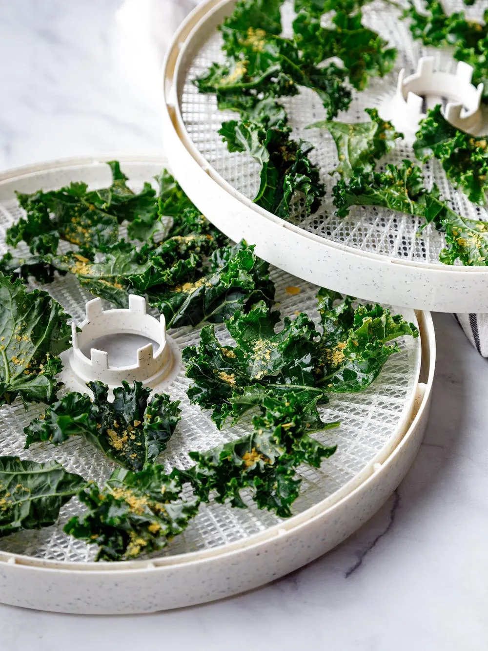 two dehydrator trays layered with kale covered in seasonings