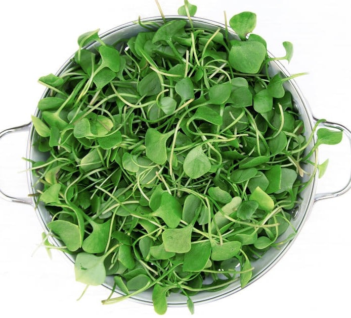 bowl full of fresh watercress