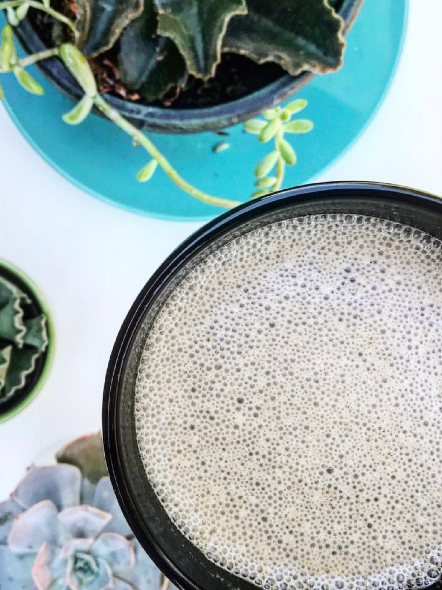 mug of caffeine free dandelion tea latte next to some succulents plants