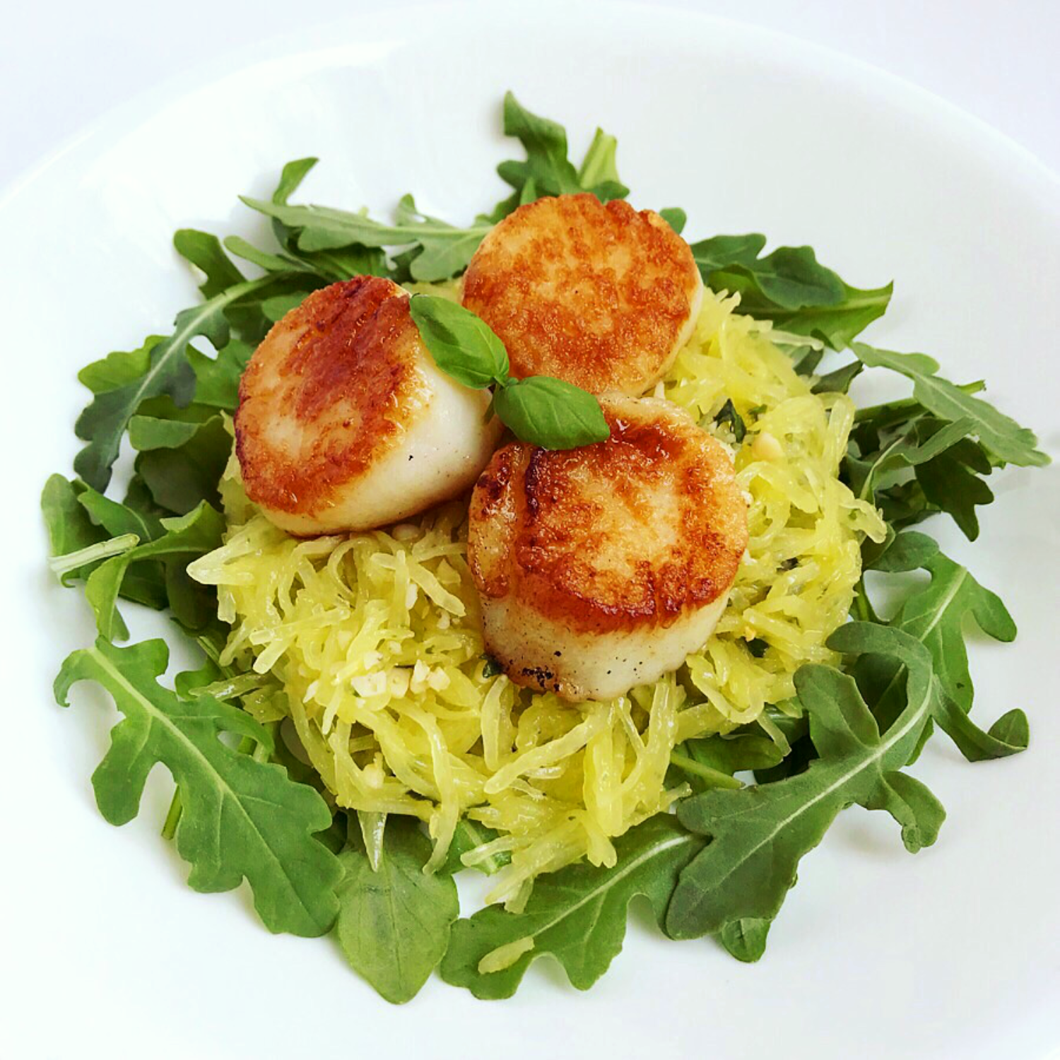 three seared scallops on a bed of roasted spaghetti squash and fresh arugala on a white plate