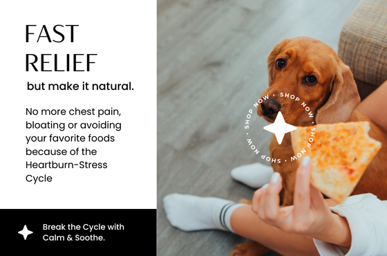 an ad for calm and soothe kit with a cute puppy dog at the feet of a woman holding a piece of pizza