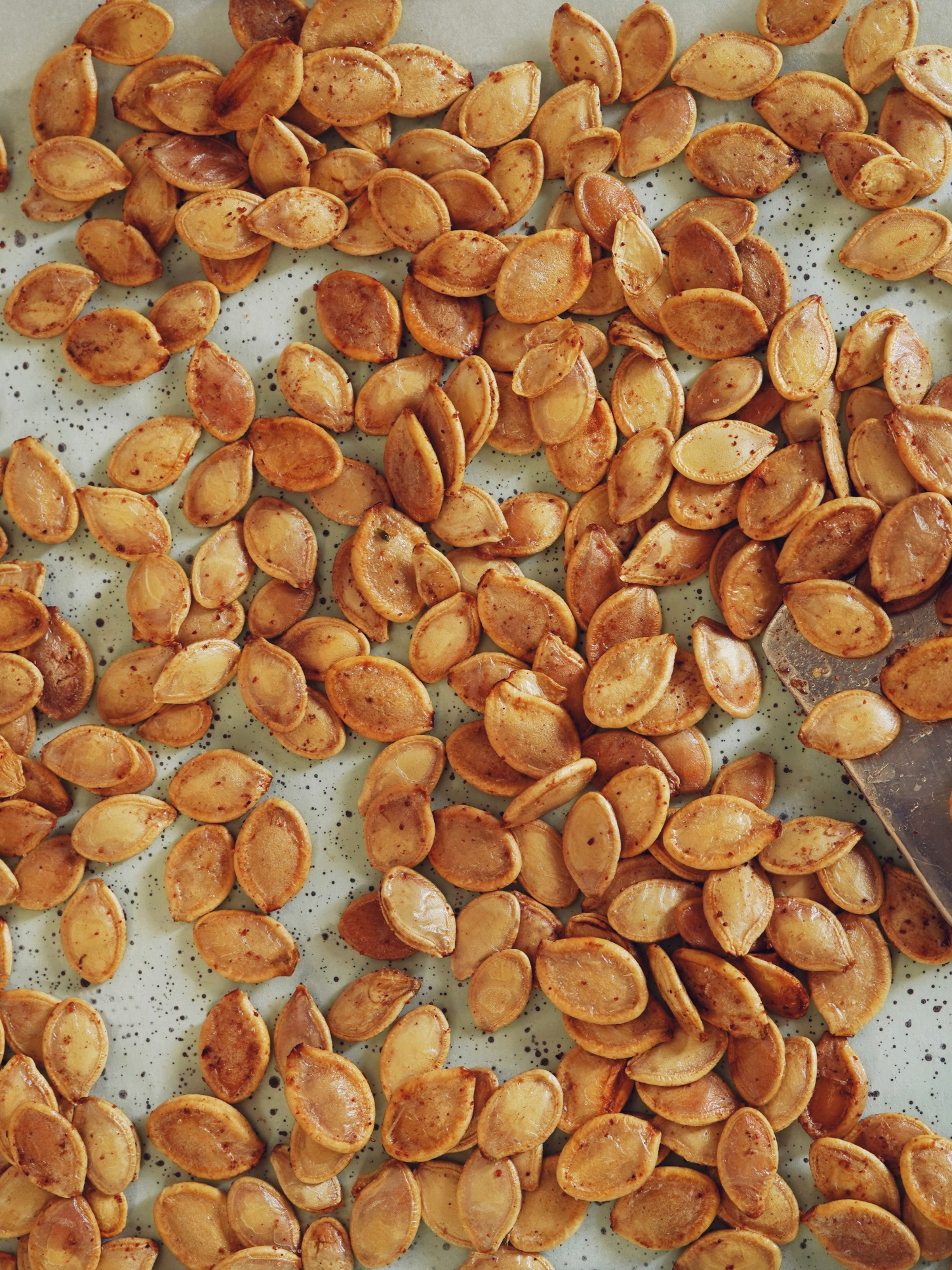 roasted butternut squash seeds on a parchment lined baking sheet